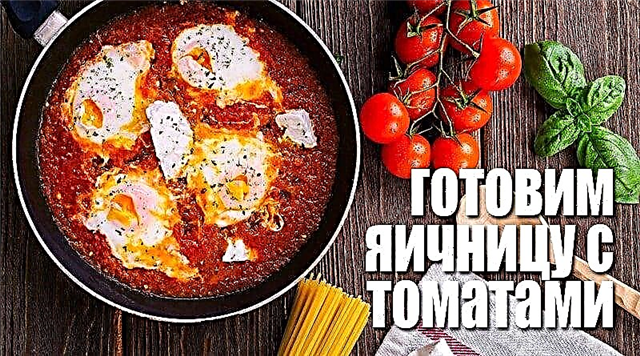 Pomidorlu pişmiş yumurta: beş möhtəşəm resept və yemək tövsiyələri