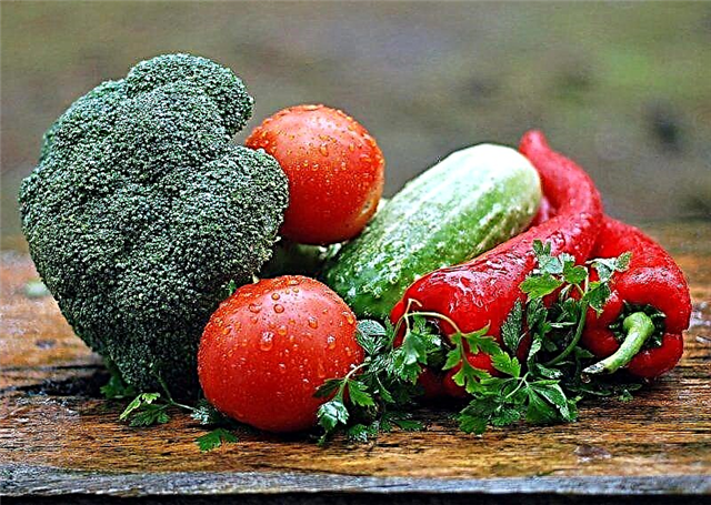 موسم سرما کے لئے سبزیوں کی تالی کیسے بنائی جائے