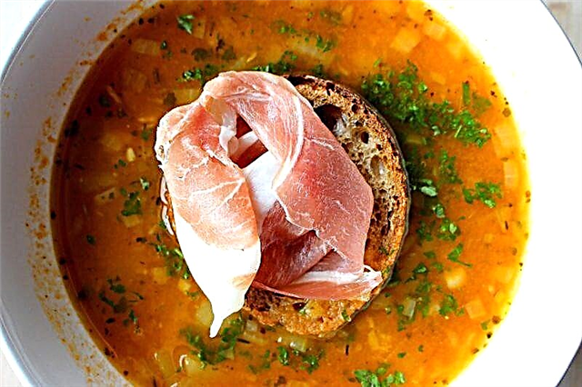 Supa të shijshme të supave të viçit - 10 receta hap pas hapi