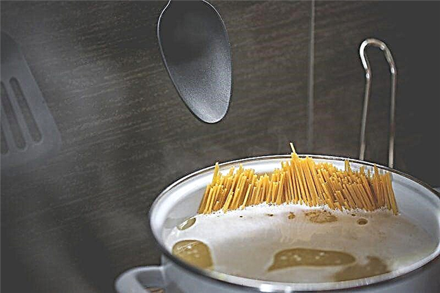 Hoe om lekker en vinnig pasta te kook - 5 resepte