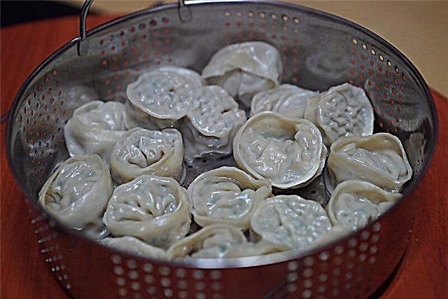 Conas dumplings a dhéanamh - oidis 5 céim ar chéim agus 4 oideas taos