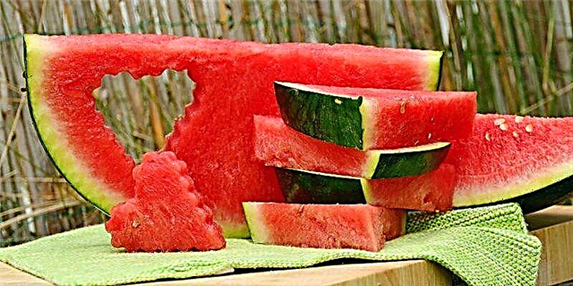 Conas watermelons a shailleadh don gheimhreadh