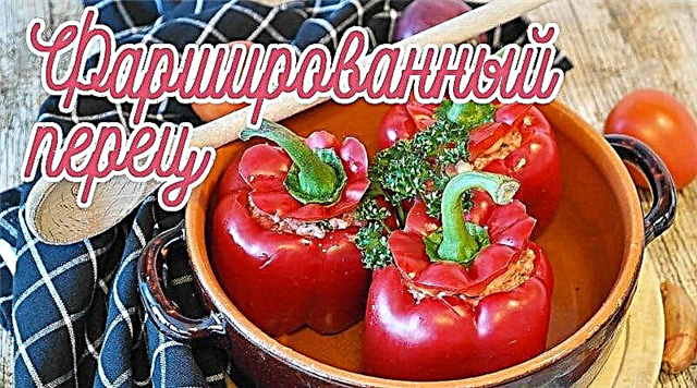 Šest ukusnih recepata punjene paprike za cijelu porodicu