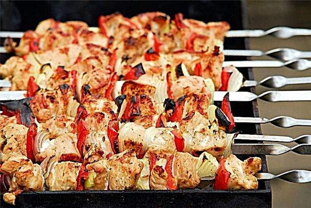 Cara masak barbecue - resep langkah demi langkah lan marinade sing enak kanggo daging
