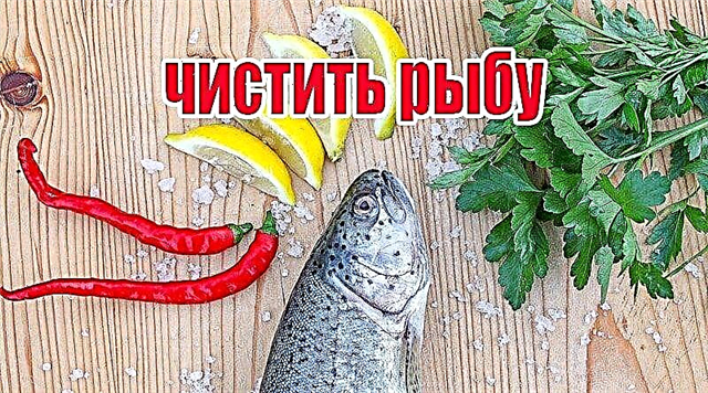 Hoe om skubbe en slym van riviervisse te verwyder