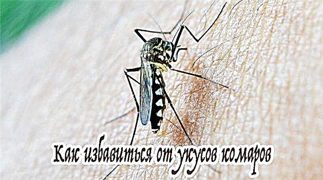Kako se riješiti uboda komaraca