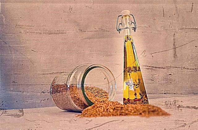 Sezamovo ulje - koristi i štete, upute, tretman, recepti