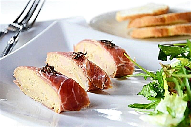 Foie gras - menene wannan?
