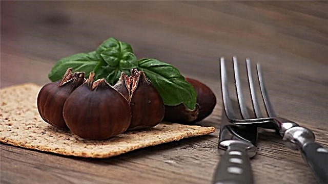 Chestnut chestnut kanggo nyuda bobot - ulasan nyata saka dokter