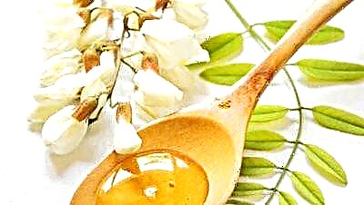 White acacia ပျားရည်: အသုံးဝင်သောဂုဏ်သတ္တိများနှင့် contraindications