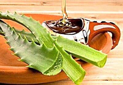 Aloe və bal üz maskaları üçün ən yaxşı reseptlər: dərinizi bəsləyin və cavanlaşdırın