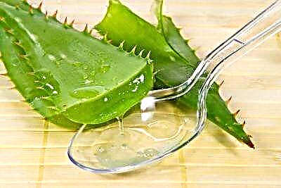 Biogene Wuestum Stimulant: Indoor Blummen mat Aloe Jus fidderen