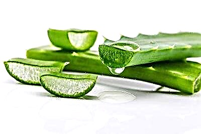 Aloe vera hotza tratatzen dugu: errezeta herrikoiak eta farmaziako tantak