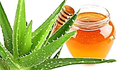 Propiedades medicinais e características do uso de aloe vera con mel