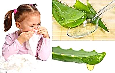 Një ilaç natyral i provuar për ftohjen e zakonshme tek foshnjat janë pikat nga agave. Si të aplikoni aloe në hundë për fëmijët?