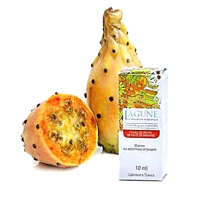 Paghanap ng tradisyunal na gamot: lahat tungkol sa prickly pear extract