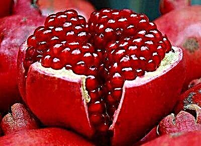 Awọn oriṣi 2 pomegranate laisi awọn irugbin: awọn abuda ti awọn oriṣiriṣi, awọn ohun-ini ti o wulo ati fọto ti awọn eso ni ipo
