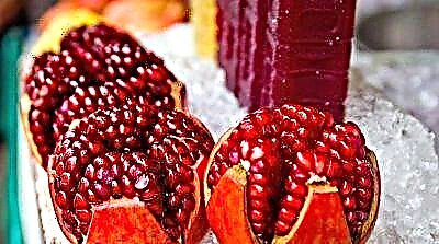 Mangan buah delima kanggo ngilangi bobot: kabeh pro lan kontra