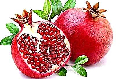 ʻO Apple apple a pomegranate maʻamau: wehewehe, kiʻi, mālama a me nā mea hou aku
