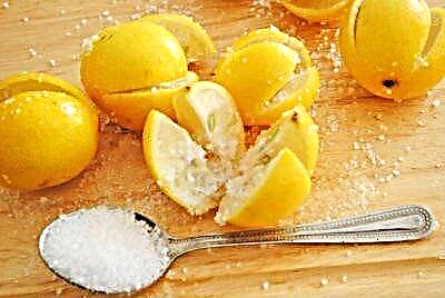Kombinasi sing menarik yaiku lemon lan uyah: digunakake kanggo apa, cara nyiyapake komposisi lan bisa mbebayani?