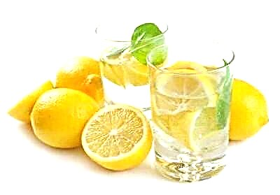 Ang paggamit sa mga analogue sa lemon juice sa pagluto ug cosmetology - unsa ang makapuli sa citrus?