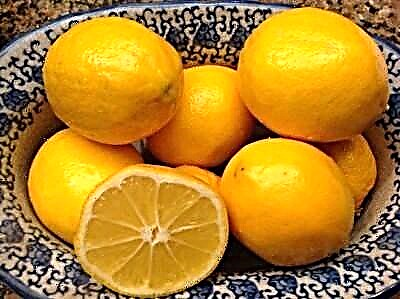 Ang evergreen lemon ni Meyer: paghulagway, pag-atiman sa tanum, pagsanay, mga sakit ug peste