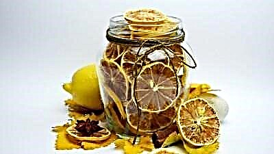 Kepiye cara nyiyapake lemon sing garing? Properti migunani lan aplikasi produk