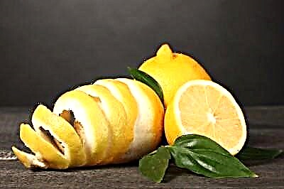 Utilaj ecoj de citrona ŝelo kaj trajtoj de uzo en medicino, kosmetologio kaj ĉiutaga vivo. Praktikaj konsiloj