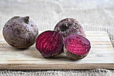 ချိုမြိန်အမြစ်ဟင်းသီးဟင်းရွက် - beetroot: ကဘာလဲ, beets နှင့်အတူခြားနားချက်, မှန်ကန်သောအမည်ကားအဘယ်သို့နည်း