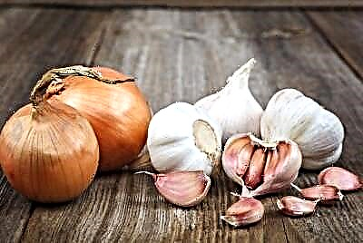 Resep bawang putih ndhuwur kanggo prostatitis. Keuntungan, cilaka, panggunaan, lan efektifitas bawang kanggo penyakit