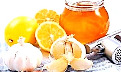 لہسن ، شہد ، لیموں کے فوائد اور نقصانات۔ خون کی نالیوں کو صاف کرنے کا کلاسیکی نسخہ: کیسے تیار کریں اور کیسے لیں؟