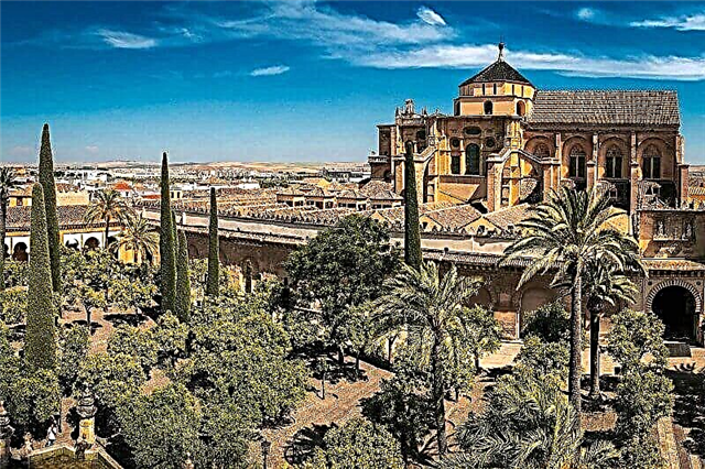 Mesquite na Cordoba - pealu nke Andalusia