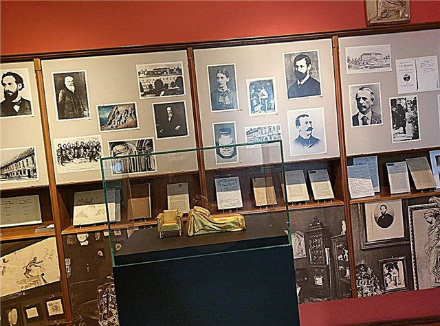 Sigmund Freud museoa - Vienako mugarri bat