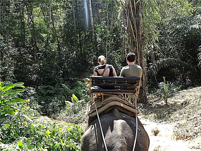 Parku Kombëtar Khao Sok - një cep i natyrës së mrekullueshme në Tajlandë