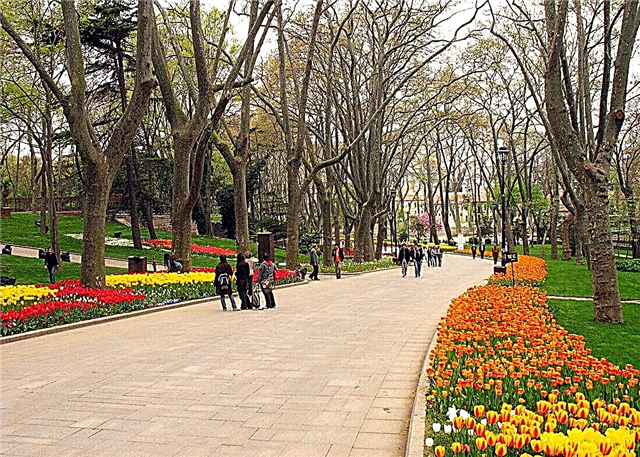Истанбул дахь хамгийн эртний Гулхане цэцэрлэгт хүрээлэнгийн үзэсгэлэнт газрууд