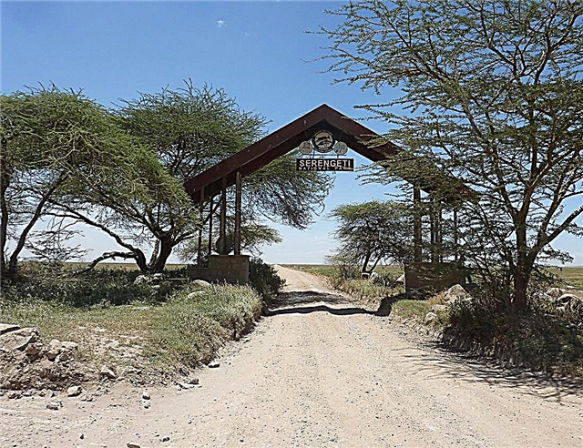 In Tanzania safari - qui est National Park visita