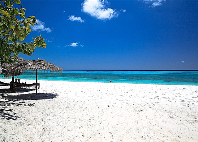 Pemba - ကြွယ်ဝသောသန္တာကျောက်တန်းနှင့်အတူတန်ဇန်းနီးယားကျွန်း