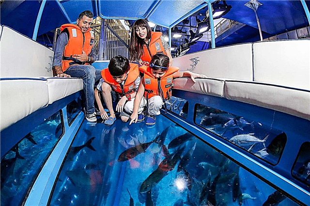 Dubai Mall Aquarium - la plej granda endoma akvario en la mondo