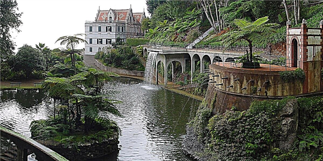 Atraksyon Madeira: ki sa ki vo vizite sou zile a