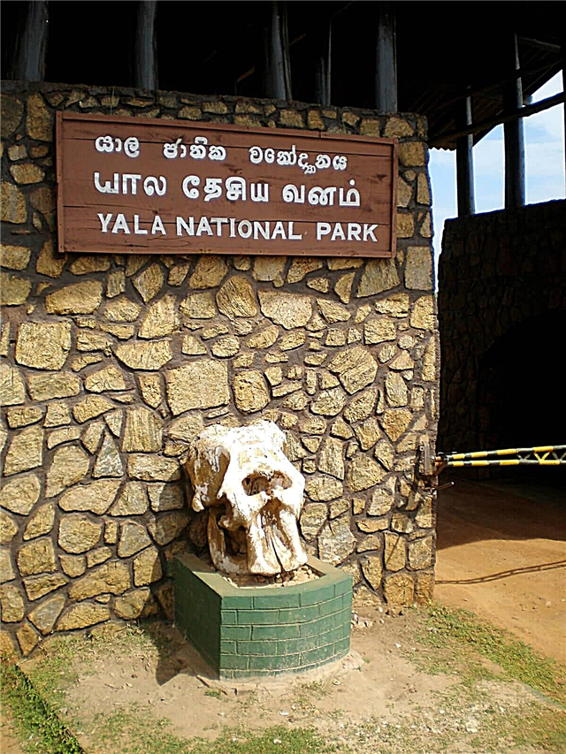 Parciau cenedlaethol Sri Lanka - ble i fynd ar saffari