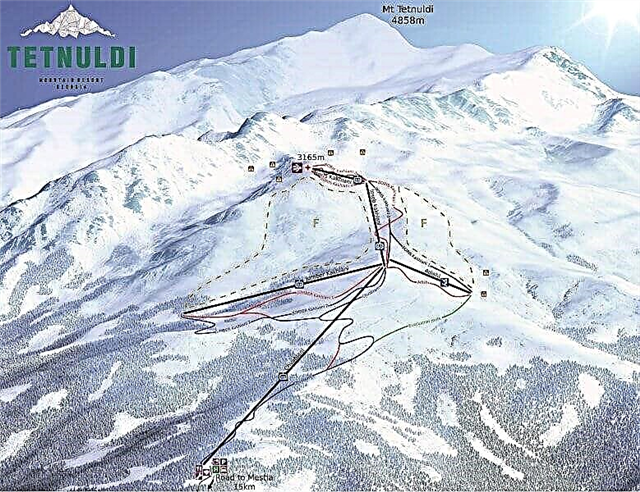 Alpynse ski in Georgië - watter keuse om te kies