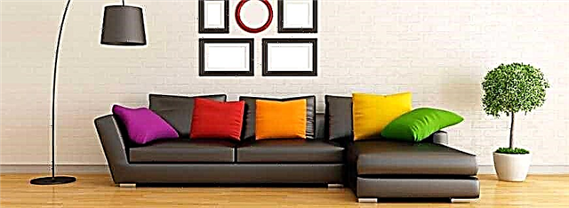 A elección da cor do sofá, tendo en conta as peculiaridades do interior, solucións populares