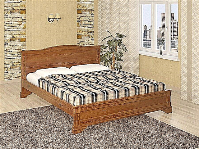Pro të një shtrati dyshe prej druri, tiparet dhe madhësitë e dizajnit