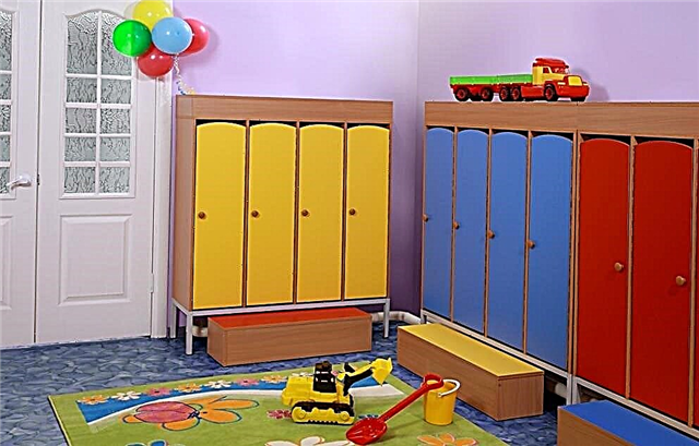 Características dos armarios para xardíns de infancia, os matices de elección