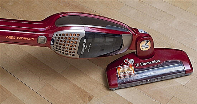 Mga tip para sa pagpili ng isang vacuum cleaner para sa mga kasangkapan sa bahay, pangkalahatang ideya ng modelo