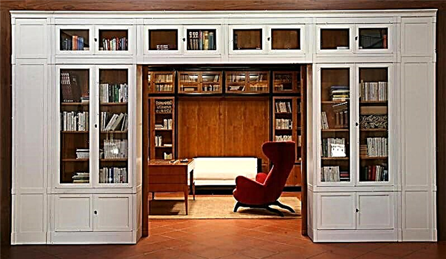 Cilat janë kabinetet e bibliotekës, pasqyrë e modelit