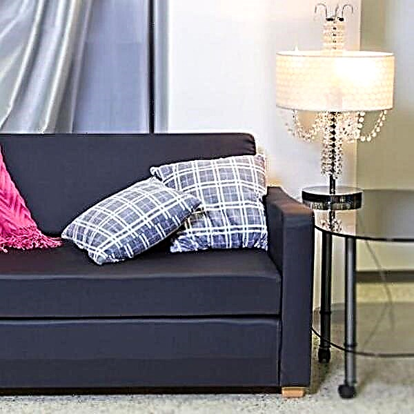 Kaluwihan lan kekurangan sofa Ikea Solsta, fungsi model