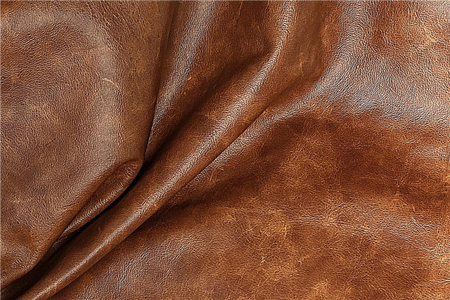 فرنیچر کے لئے چمڑے کا انتخاب کیسے کریں ، مفید سفارشات