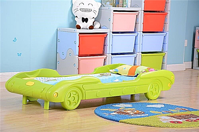 Karakteristike dizajna kreveta za djecu od 2 godine, savjeti za odabir