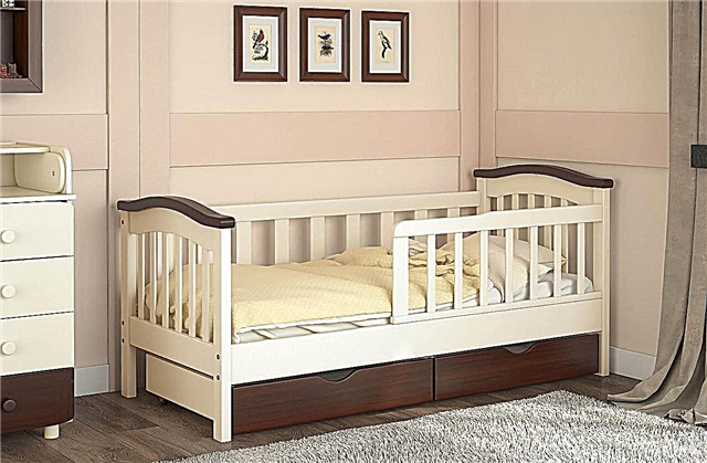 Savjeti za odabir dječjeg kreveta od 3 godine, popularni tipovi